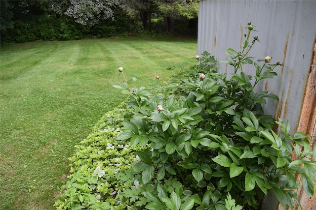 25 Alda Dr, Poughkeepsie, NY 12603 - view of grassy yard