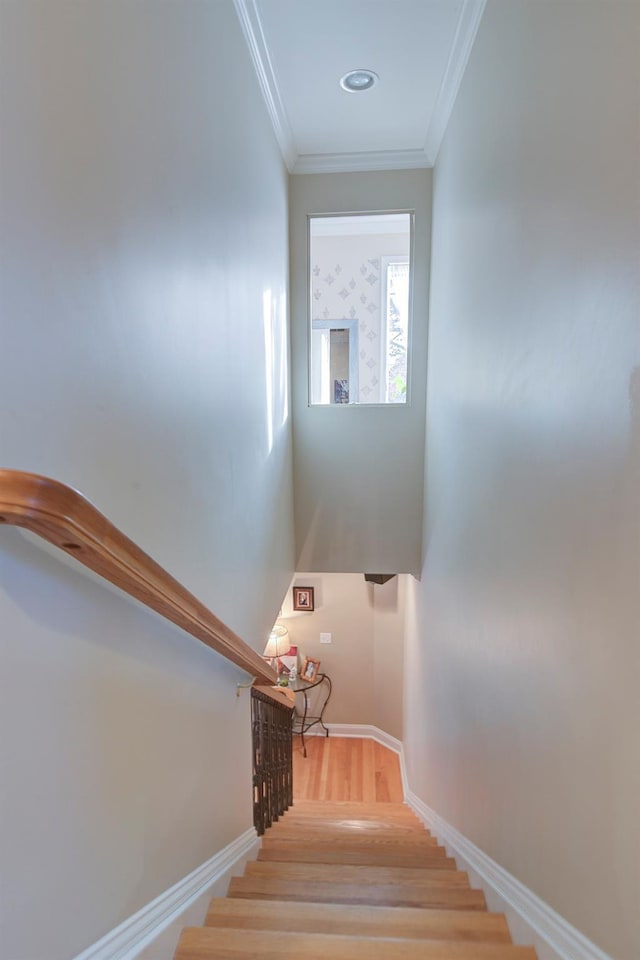 2 Goldwin St, Rye, NY 10580 - stairs with ornamental molding, wood finished floors, and baseboards