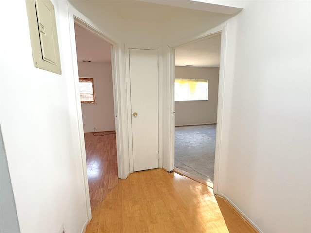 79 S Pointe Cir S Unit 79, Coram, NY 11727 - hall with light wood-style floors and electric panel