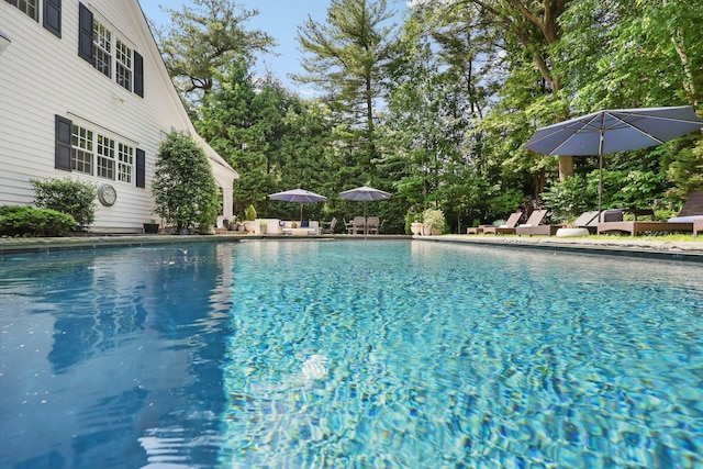 27 Olmsted Rd, Scarsdale, NY 10583 - view of swimming pool