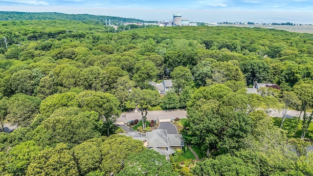 6 Ring Neck Ct, Wading River, NY 11792 - aerial view of property's location featuring a forest