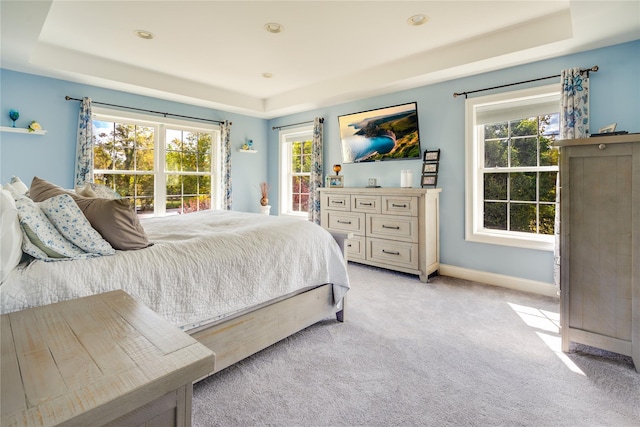 226 Windsor Rd, Fishkill, NY 12524 - bedroom with a raised ceiling and light colored carpet
