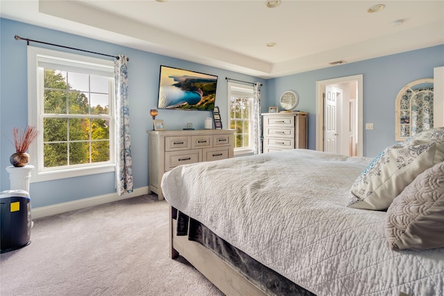 226 Windsor Rd, Fishkill, NY 12524 - carpeted bedroom featuring multiple windows and a raised ceiling