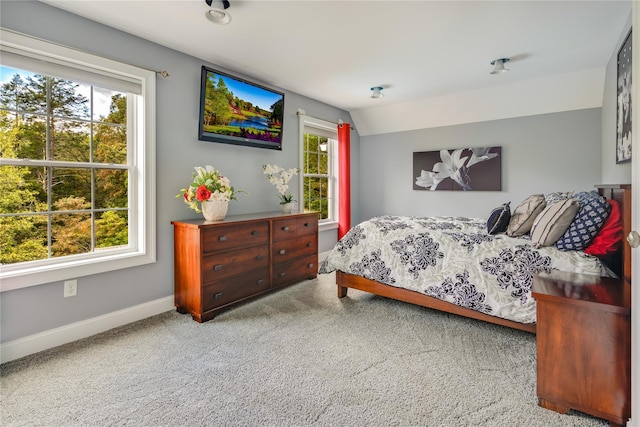 226 Windsor Rd, Fishkill, NY 12524 - bedroom with baseboards and carpet flooring