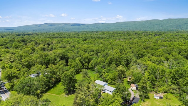 2410 Bruynswick Rd, Wallkill, NY 12589 - aerial view of a forest