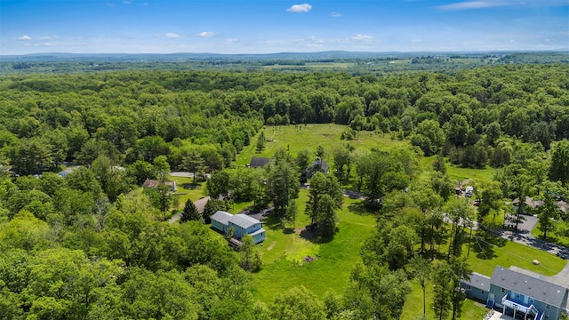 2410 Bruynswick Rd, Wallkill, NY 12589 - bird's eye view of a heavily wooded area
