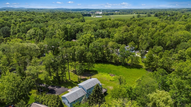 2410 Bruynswick Rd, Wallkill, NY 12589 - drone / aerial view of a forest