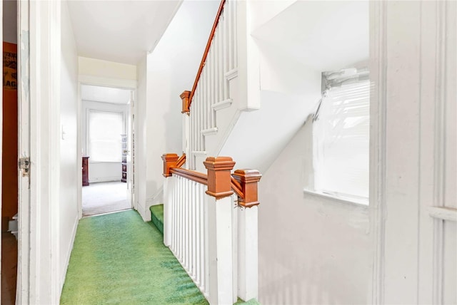 11480 178th Pl, Addisleigh Park, NY 11434 - corridor featuring carpet and healthy amount of natural light