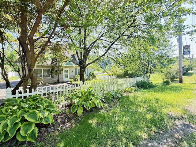 281 Union Ave, New Windsor, NY 12553 - view of yard
