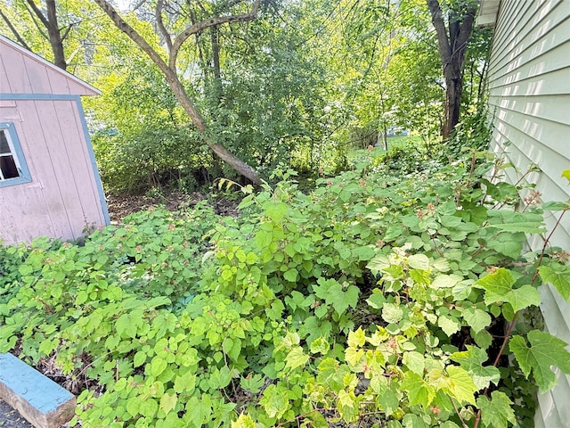 281 Union Ave, New Windsor, NY 12553 - view of yard