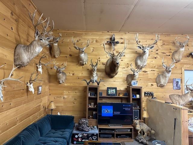 6452 State Route 52, Lake Huntington, NY 12752 - living room with wood walls