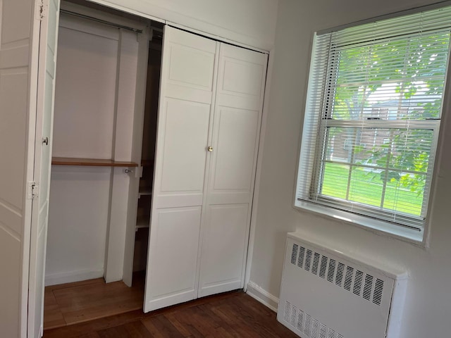 210-12 69th Ave Lower, Lower, Oakland Gardens, NY 11364 - closet with radiator