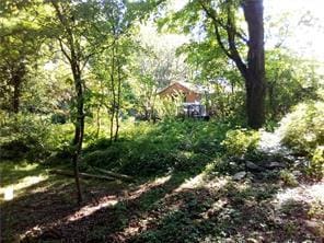71 Honeywell Ln, Hyde Park, NY 12538 - view of yard with a forest view