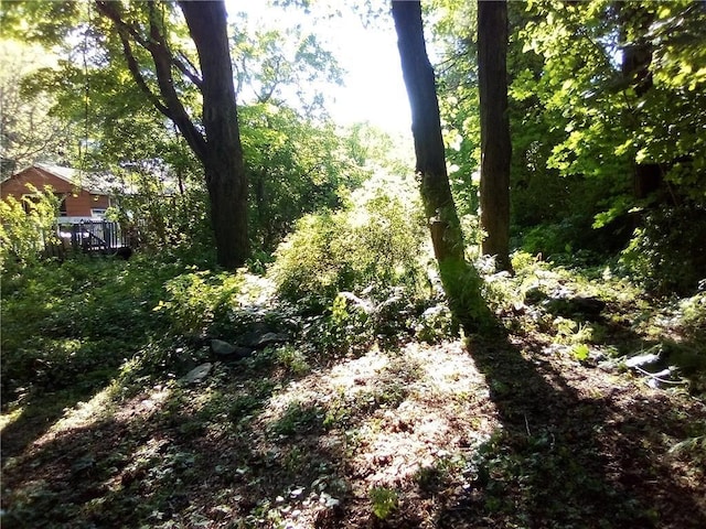 71 Honeywell Ln, Hyde Park, NY 12538 - view of woods