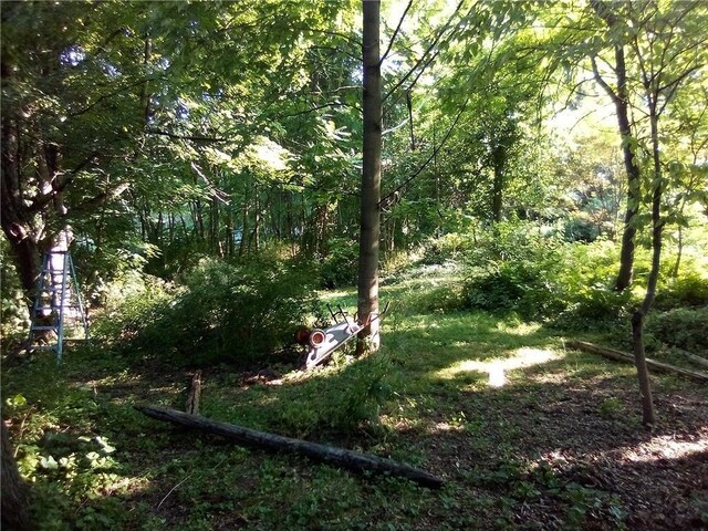 71 Honeywell Ln, Hyde Park, NY 12538 - view of yard with a view of trees