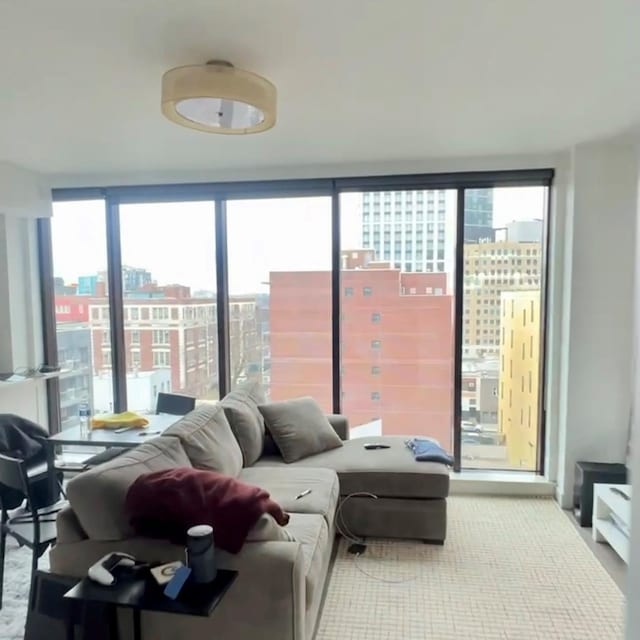 4104 27th St Unit 8C, Long Island City, NY 11101 - living area featuring a city view and a wall of windows