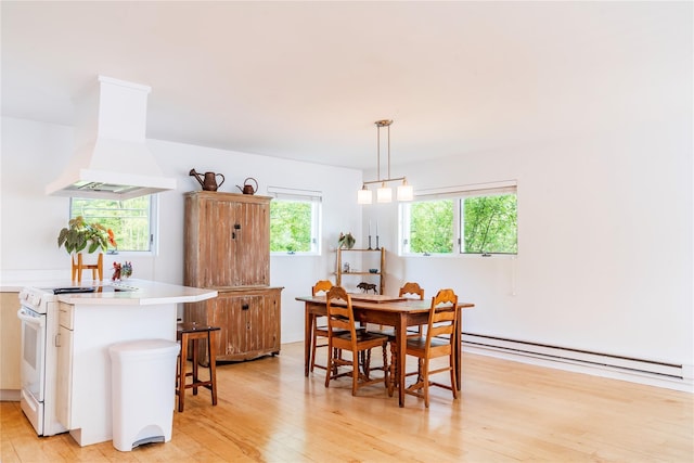 13 W Shore Rd, Kauneonga Lake, NY 12749 - dining area featuring baseboard heating and light wood finished floors
