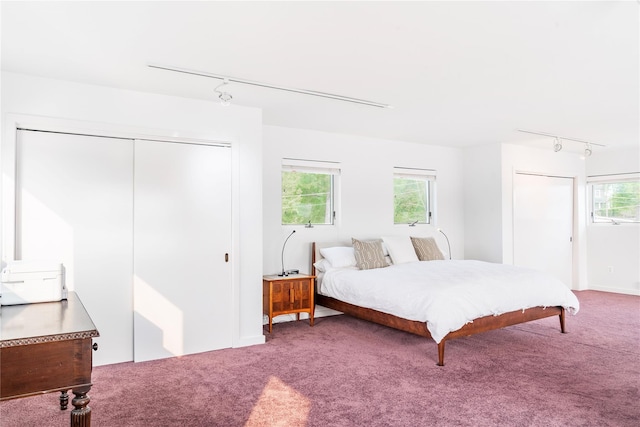 13 W Shore Rd, Kauneonga Lake, NY 12749 - bedroom featuring rail lighting, carpet, and a closet