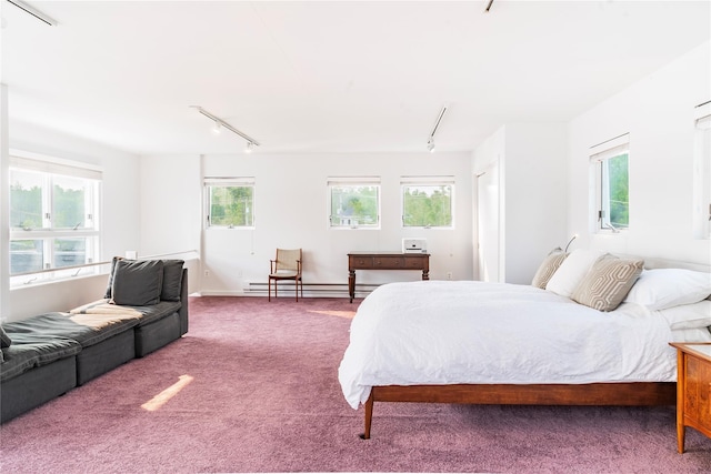 13 W Shore Rd, Kauneonga Lake, NY 12749 - bedroom with track lighting, carpet floors, baseboards, and a baseboard radiator