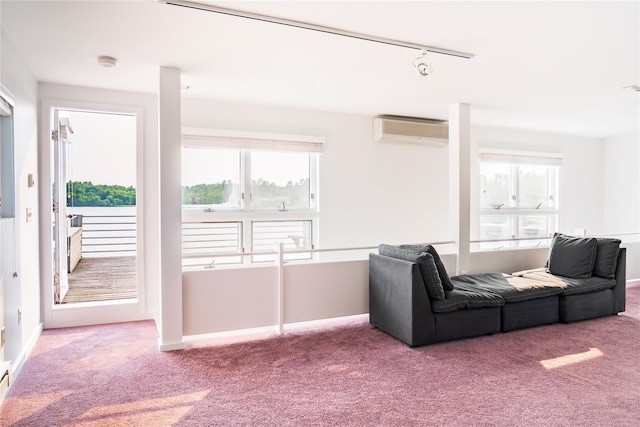 13 W Shore Rd, Kauneonga Lake, NY 12749 - living room featuring a wall unit AC, carpet, and healthy amount of natural light