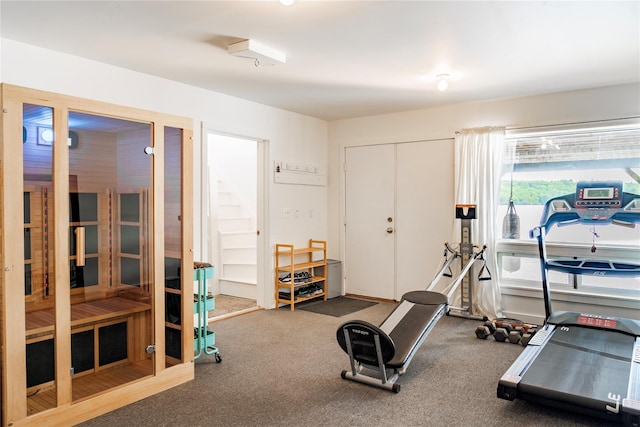 13 W Shore Rd, Kauneonga Lake, NY 12749 - workout room featuring carpet