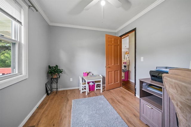 69 Wickham Dr, Warwick, NY 10990 - office space with light wood-type flooring, crown molding, a ceiling fan, and baseboards
