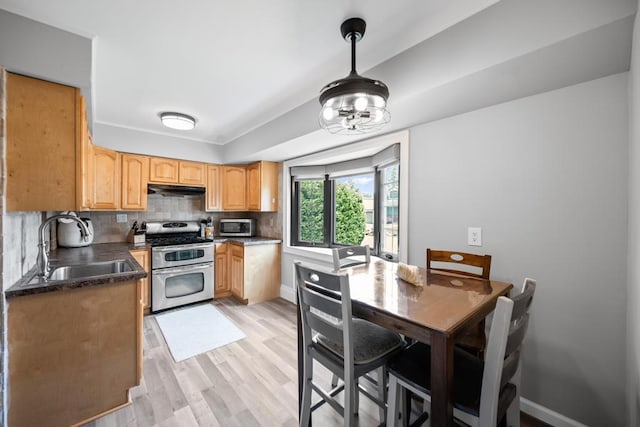 220 Farhan Ln, North Babylon, NY 11703 - kitchen featuring appliances with stainless steel finishes, a sink, under cabinet range hood, light wood finished floors, and backsplash