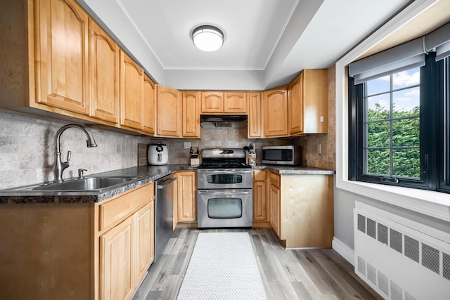 220 Farhan Ln, North Babylon, NY 11703 - kitchen featuring radiator, appliances with stainless steel finishes, a sink, under cabinet range hood, and light wood-type flooring