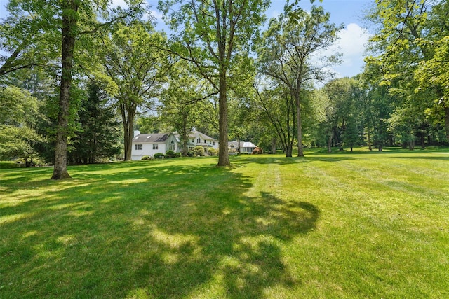 792-820 Old Post Rd, Bedford, NY 10506 - view of green lawn