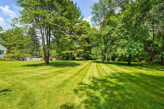 792-820 Old Post Rd, Bedford, NY 10506 - view of grassy yard