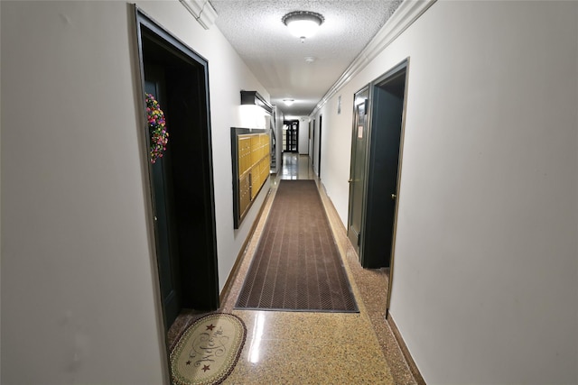 2105 Wallace Ave Unit 4A, Bronx, NY 10462 - hall featuring speckle patterned floor, a textured ceiling, and crown molding