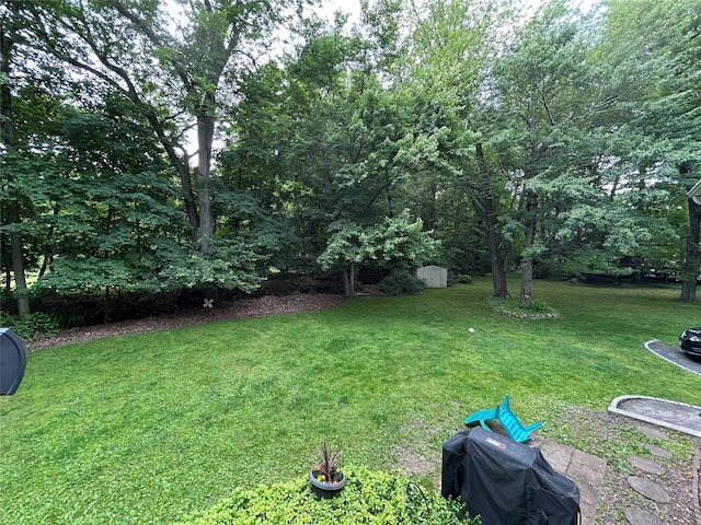 7 S Van Dyke Ave, Airmont, NY 10901 - view of grassy yard