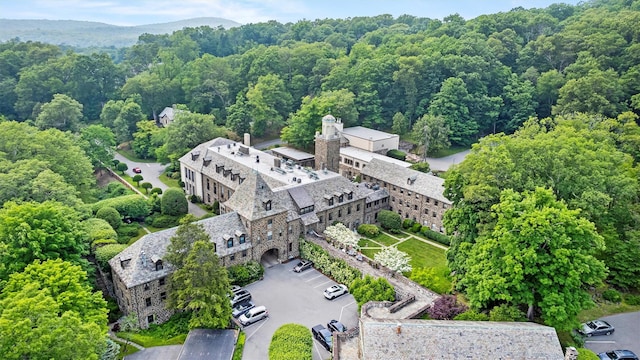341 Furnace Dock Rd Unit 30, Cortlandt Manor, NY 10567 - bird's eye view of a forest