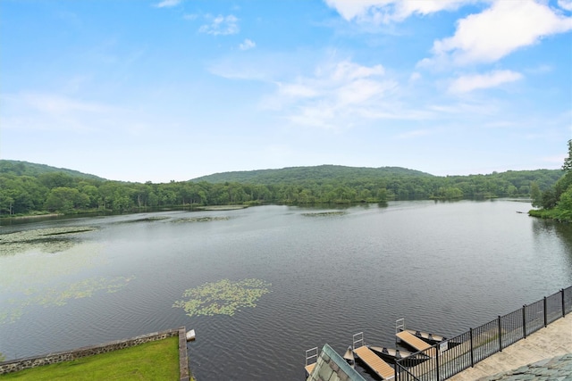 341 Furnace Dock Rd Unit 30, Cortlandt Manor, NY 10567 - water view with a heavily wooded area and a boat dock