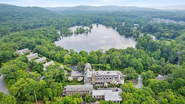 341 Furnace Dock Rd Unit 30, Cortlandt Manor, NY 10567 - drone / aerial view of a water and mountain view and a heavily wooded area