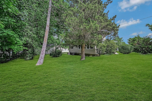 506 Raynor Ave, Riverhead, NY 11901 - view of green lawn