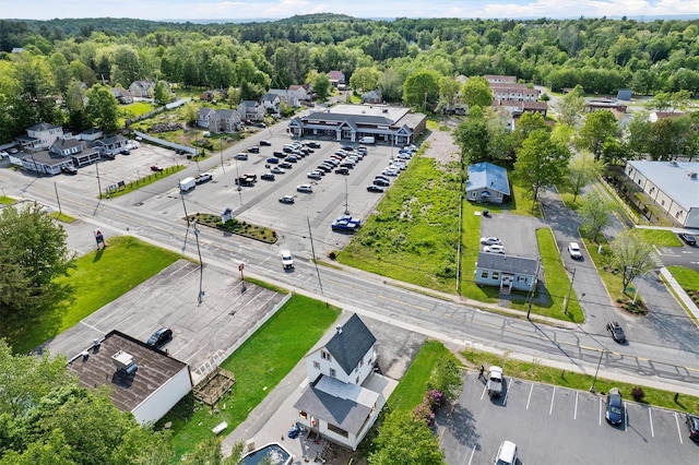 31 Forestburgh Rd, Monticello, NY 12701 - bird's eye view of a forest