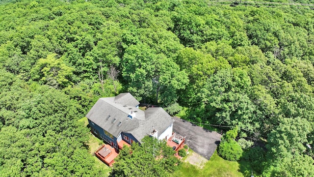 65 Oxford Springs Rd, Chester, NY 10918 - drone / aerial view of a forest