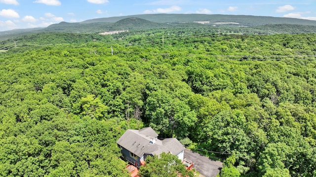 65 Oxford Springs Rd, Chester, NY 10918 - bird's eye view of a forest and a mountainous background