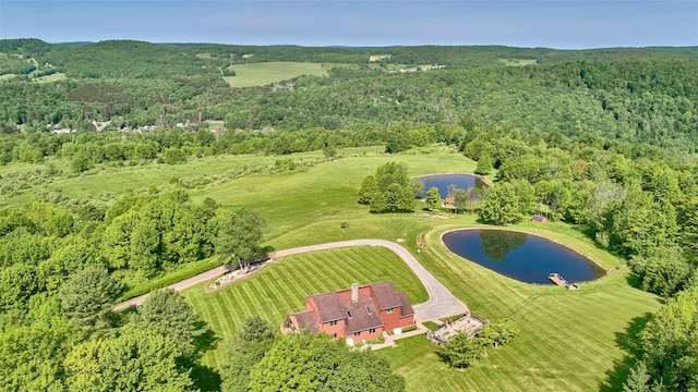 99 Dietz Rd, Jeffersonville, NY 12748 - aerial view of property's location with a forest and a nearby body of water