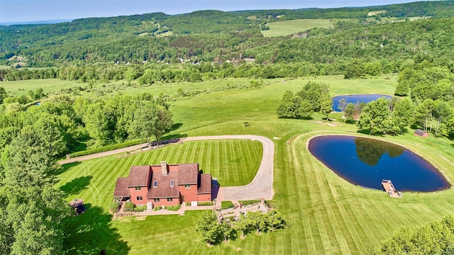 99 Dietz Rd, Jeffersonville, NY 12748 - bird's eye view of a nearby body of water and a forest