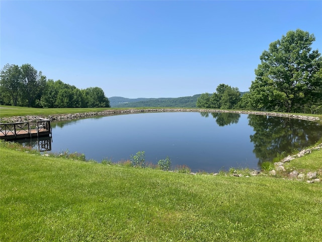 99 Dietz Rd, Jeffersonville, NY 12748 - water view