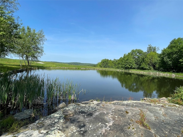 99 Dietz Rd, Jeffersonville, NY 12748 - water view