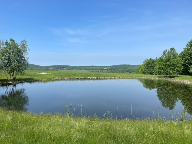 99 Dietz Rd, Jeffersonville, NY 12748 - water view