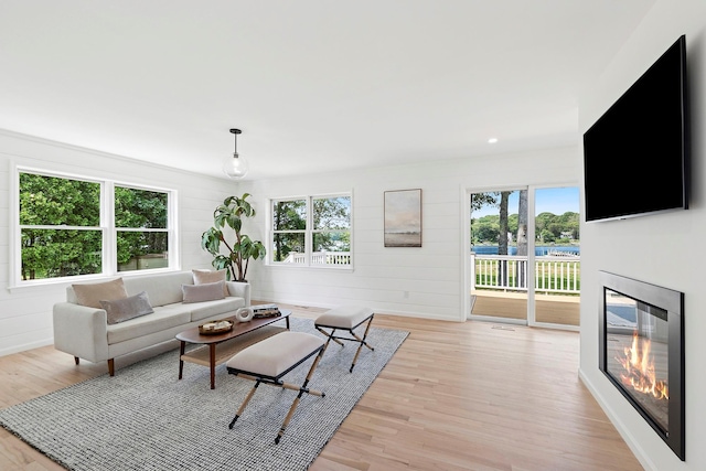 2000 Beebe Dr, Cutchogue, NY 11935 - living room featuring a glass covered fireplace, light wood finished floors, and wooden walls