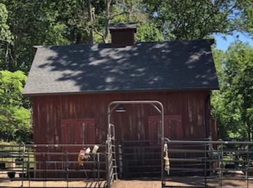 view of horse barn