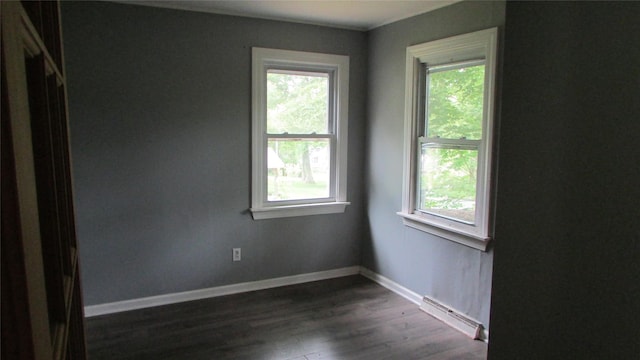 231 Lakeview Rd, Wappingers Falls, NY 12590 - spare room with baseboard heating, healthy amount of natural light, dark wood-style flooring, and baseboards
