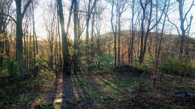 8 Newburgh Rd, Patterson, NY 12563 - view of tree filled area