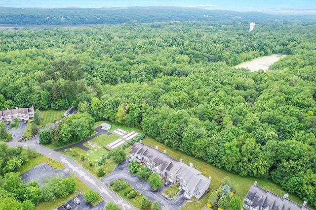 249 Pinebrook Dr, Hyde Park, NY 12538 - photo 4