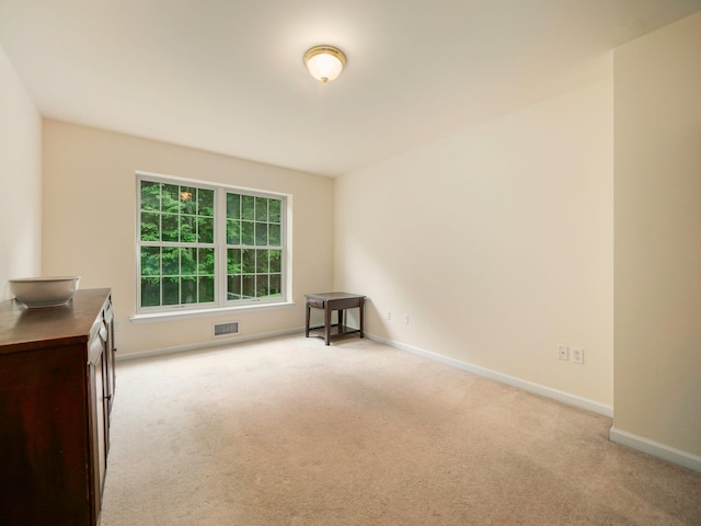 249 Pinebrook Dr, Hyde Park, NY 12538 - photo 16